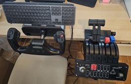LOGITECH / SAITEK PRO FLIGHT YOKE SYSTEM MIT VIEL ZUBEHÖR