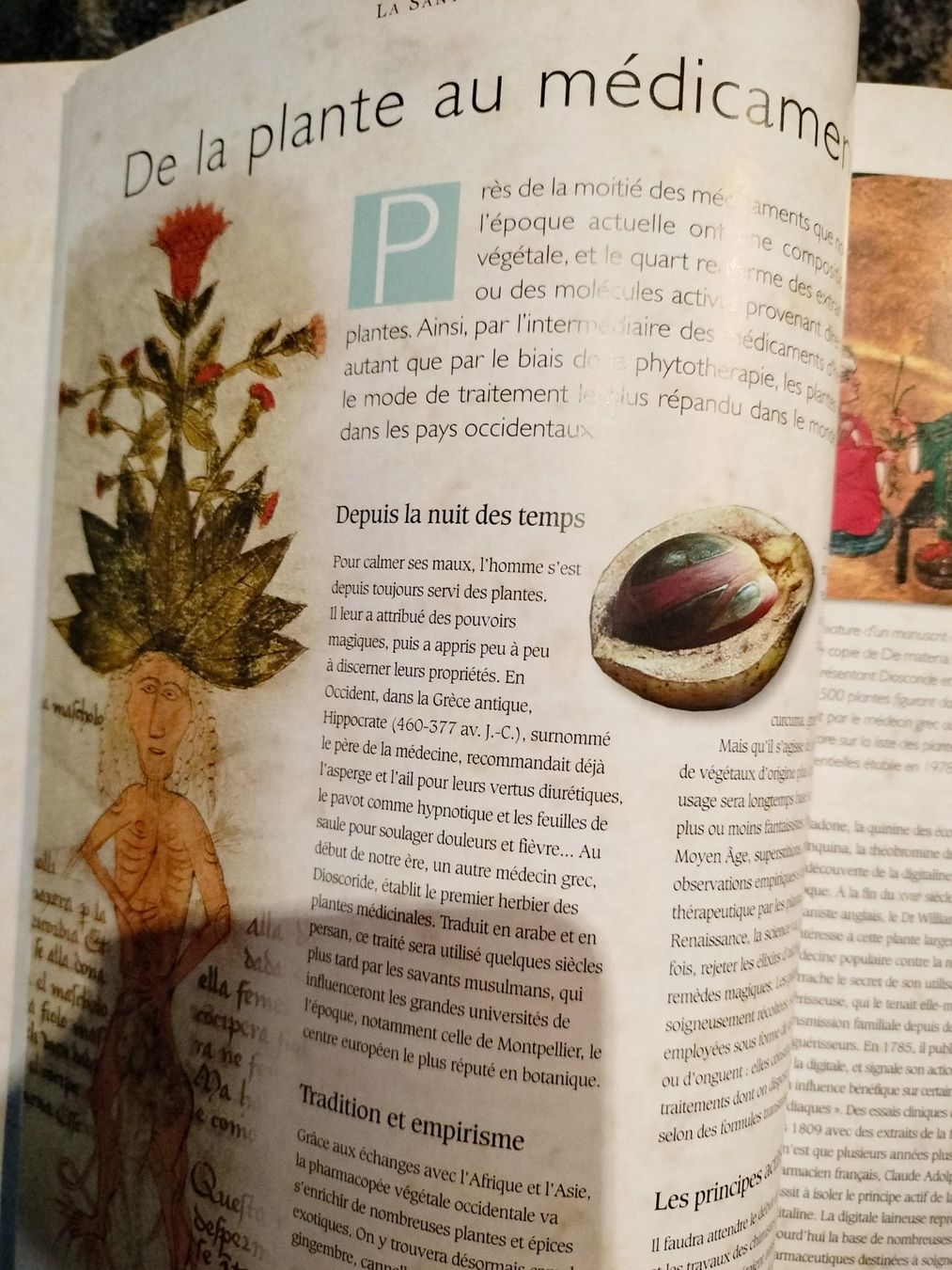 Livres: La santé par les plantes Sélection Reader's Digest – D'occasion à Cortaillod par rozinna 3