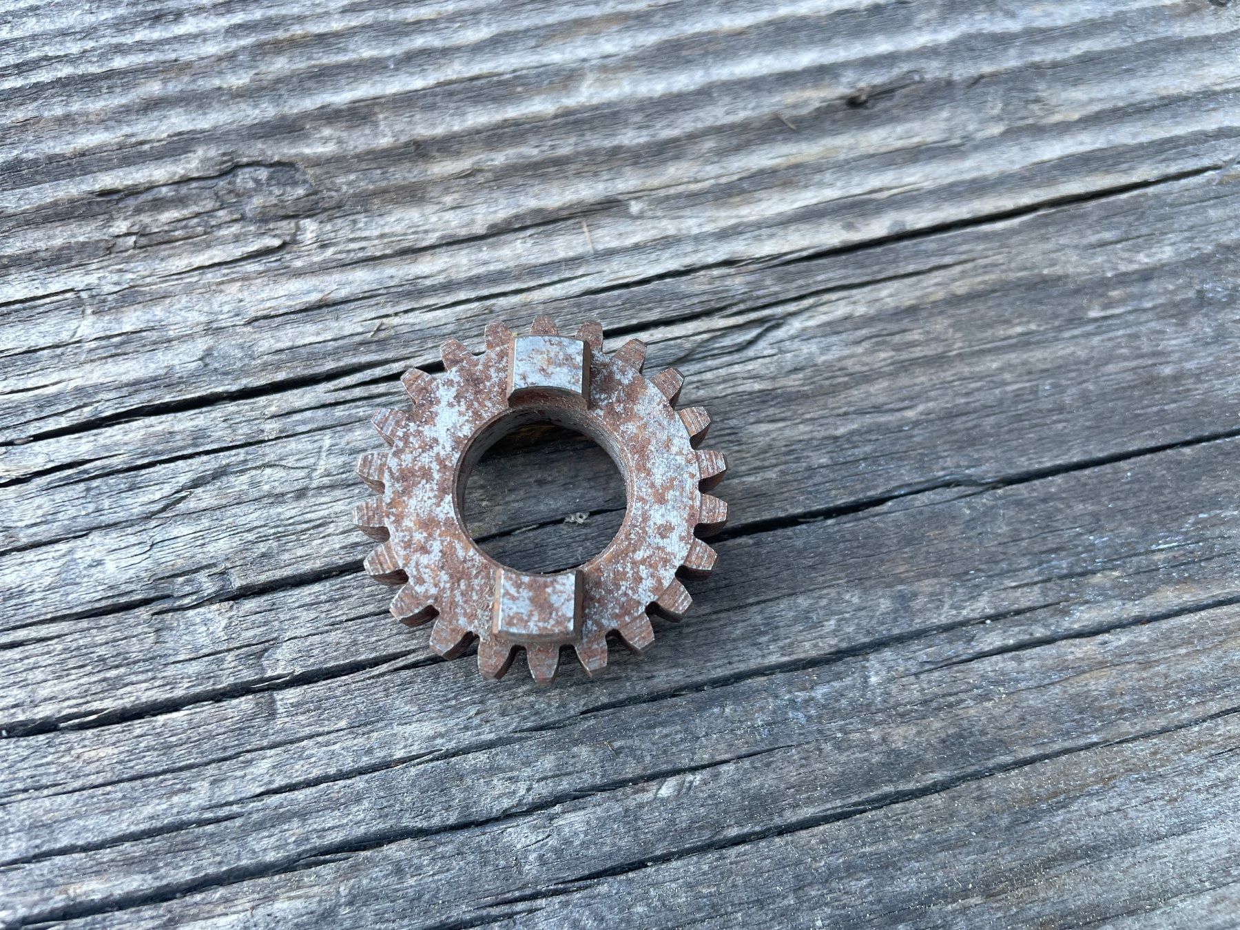 Ciclomotori: Pièce moteur. – Nuovo e nell'imballaggio originale da Leytron venduto da ACLEONARD01 3
