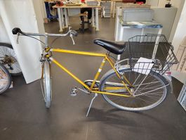 Herren Velo 