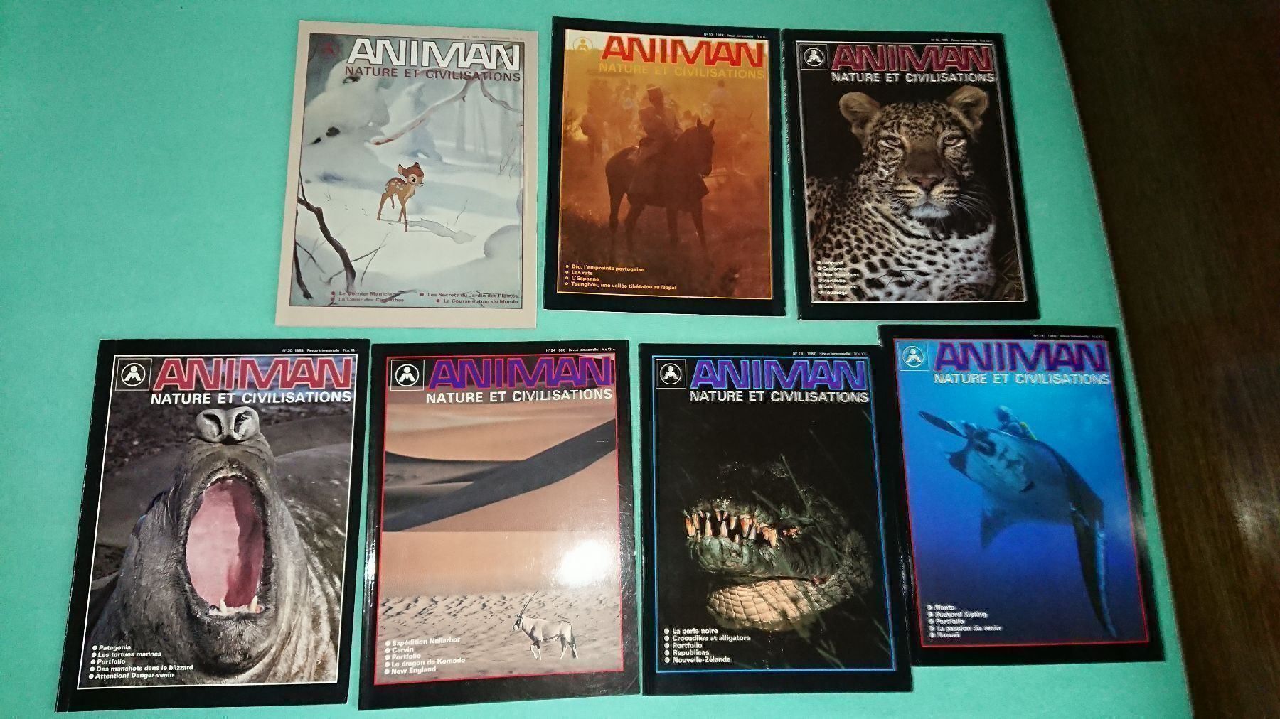 Riviste & Magazine: Animan / 7 Magazines – Usato da Cortaillod venduto da signep