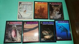 Animan / 7 Magazines