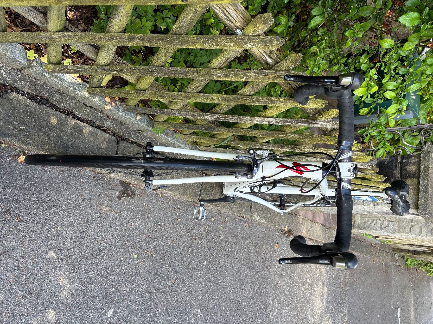 Specialized Vélos: Carbon-Rennrad – D'occasion à Zürich par inbewegungbleiben 2