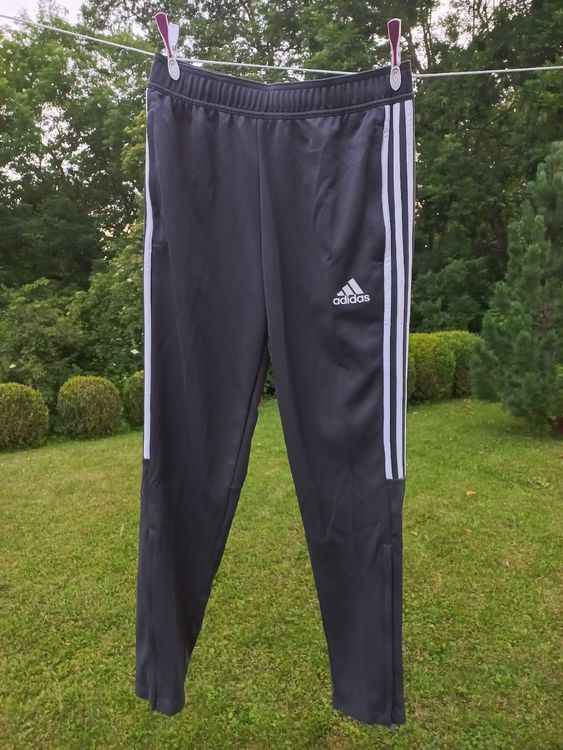 Adidas Pantaloni: Trainerhose von adidas Gr. M kaum getragen – Nuovo (secondo la descrizione) da Oberuzwil venduto da venditum.
