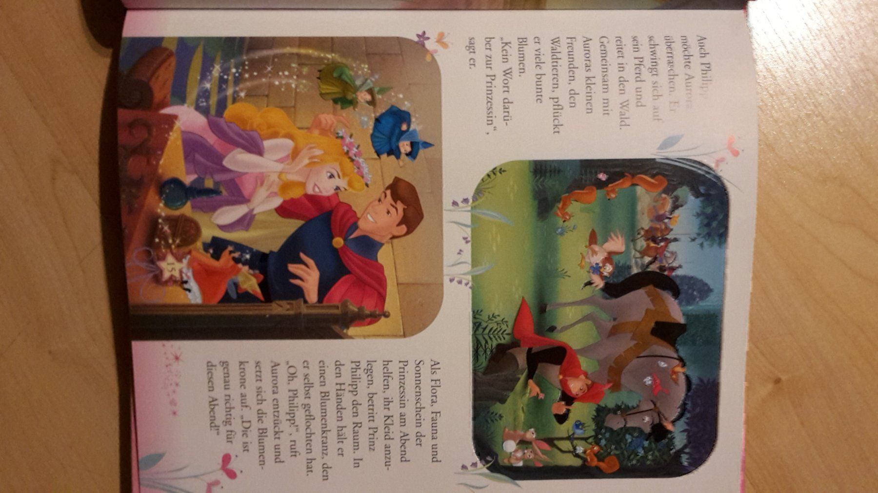 Bücher: Spielbuch einmal Prinzessin sein – Neu und originalverpackt aus Schwarzenburg von Flamingo07 2