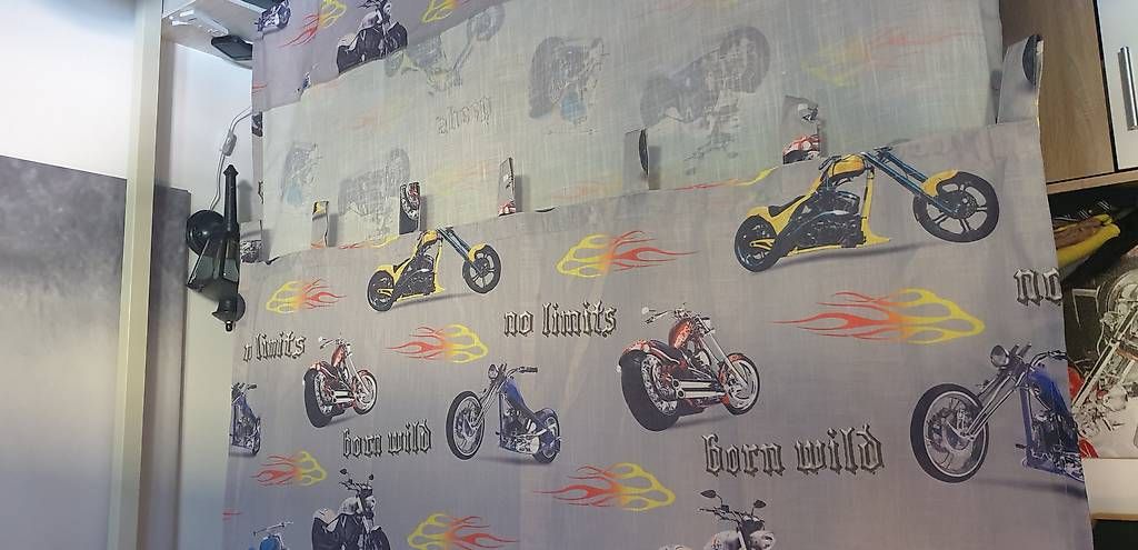 Cruisers: Tende Moto Harley Davidson – D'occasion à Losone par mar_n5ds 4