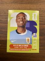 Panini Uru 15