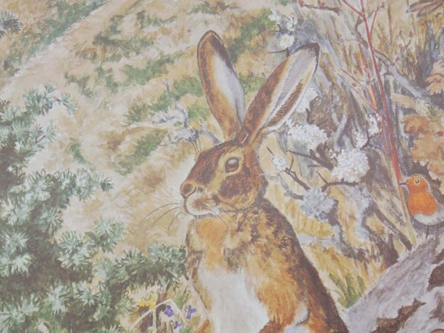 Posters & Illustrations: Schulwandbild "Hase", Robert Hainard  #enge – D'occasion à Härkingen par sammelbecken 3