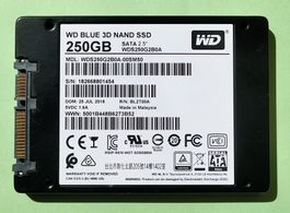 SSD WD Blue 3D NAND 250 Go