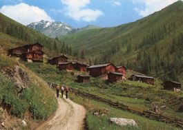 Oberalp   GR  bei Davos-Monstein  (1'913 m.)     um 1980