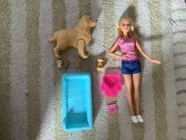 Barbie Familie & Freunde Puppe mit Hundemama & Welpen