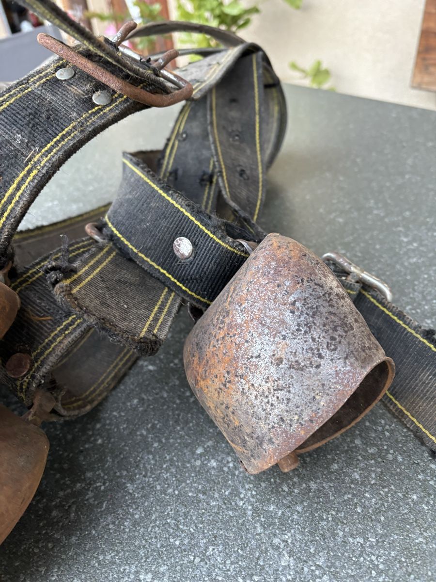 Campanacci mucche: 5 Rindertreicheli – Usato da Schangnau venduto da Roseggli82 5