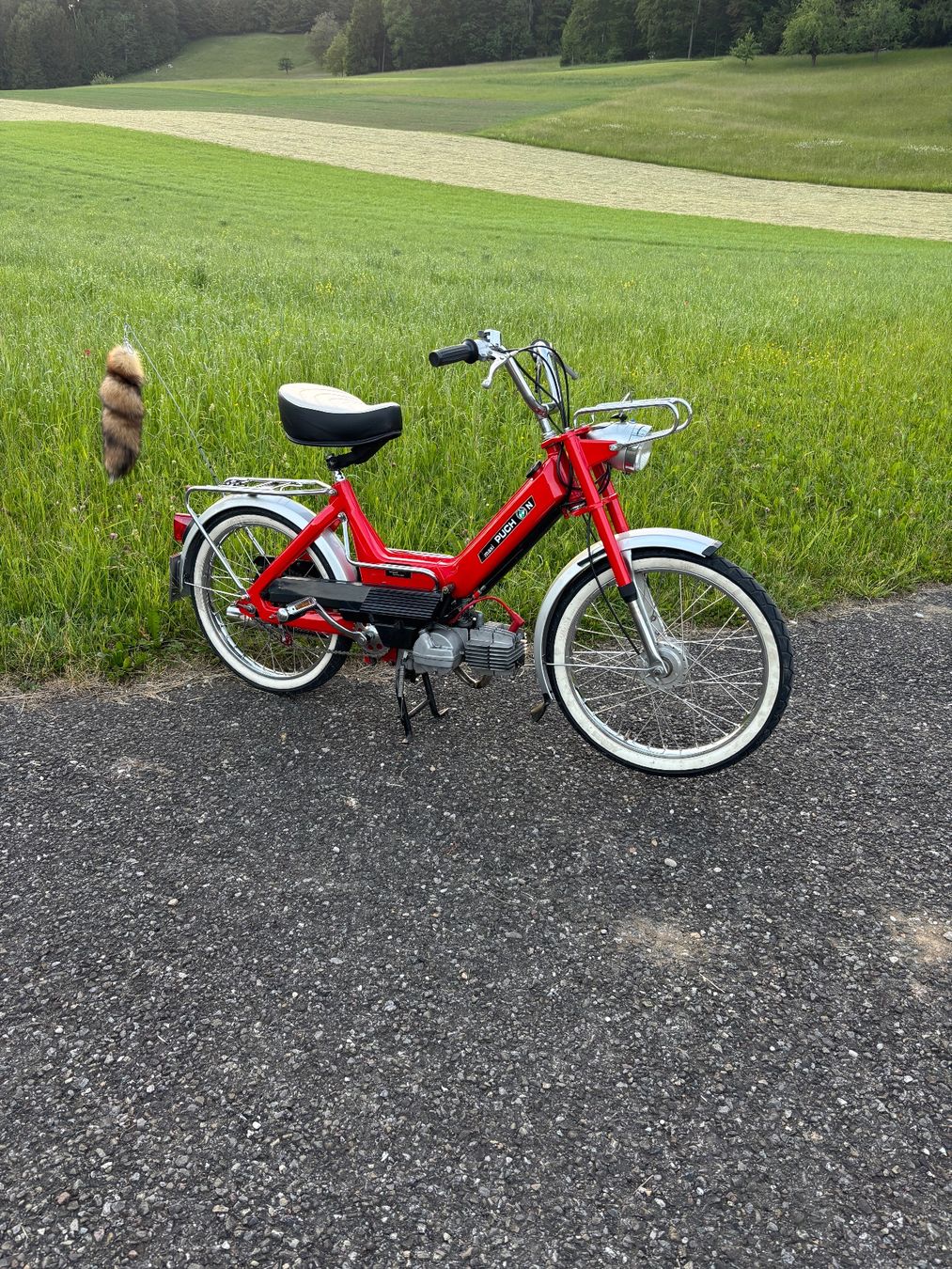 Puch Ciclomotori: Puch Maxi N ( Urmaxi ) – Usato da Turbenthal venduto da sch_8bqz 2