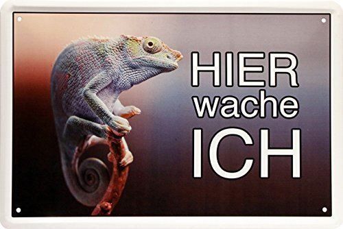 Schilder: Blechschild-CHAMÄLEON-HIER WACHE ICH – Neu und originalverpackt aus Rupperswil von big-one-sale