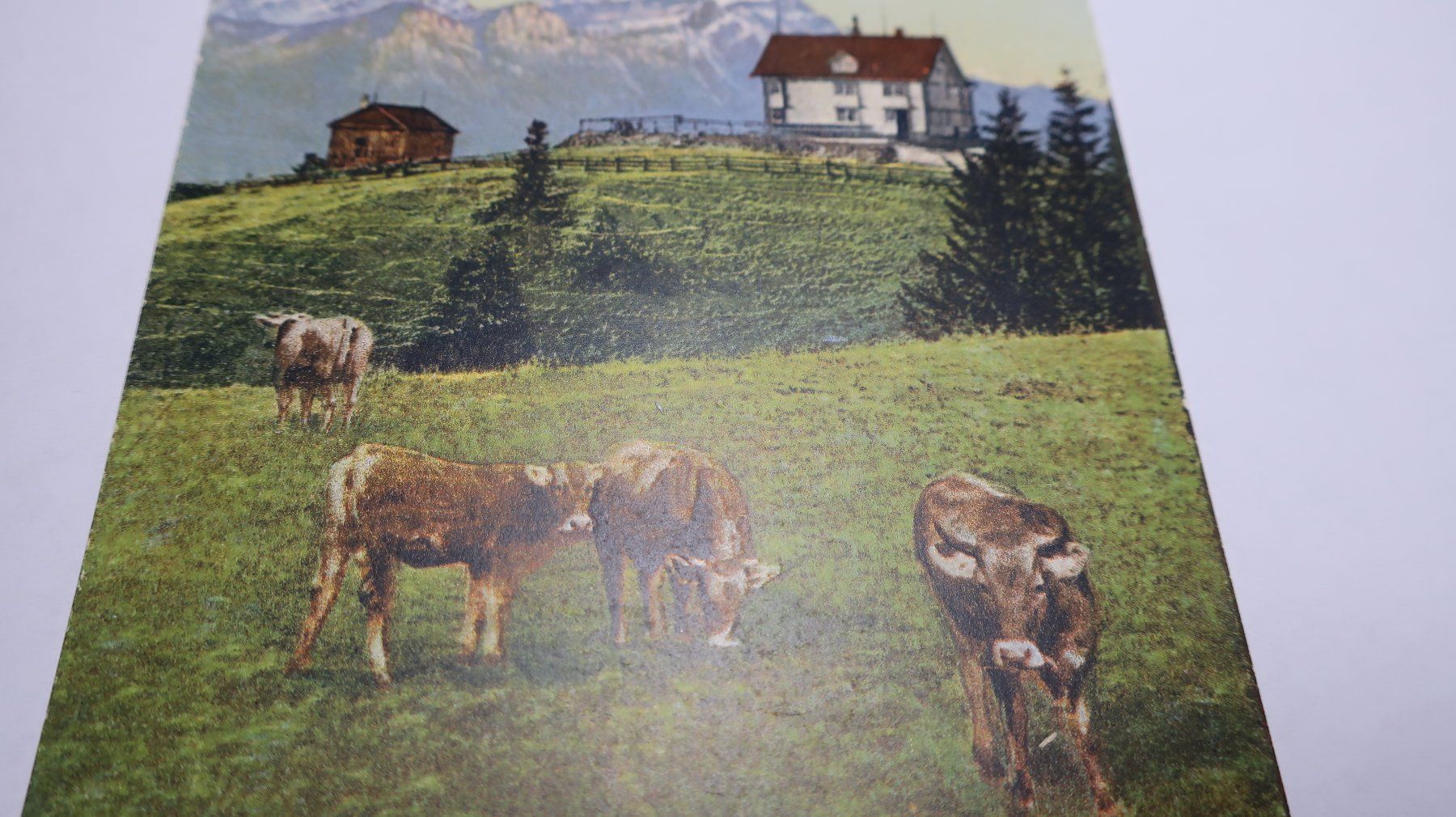 Cartoline postali: Gäbris ( Kanton Appenzell ) – Usato da Cormoret venduto da Pascalll2001 2
