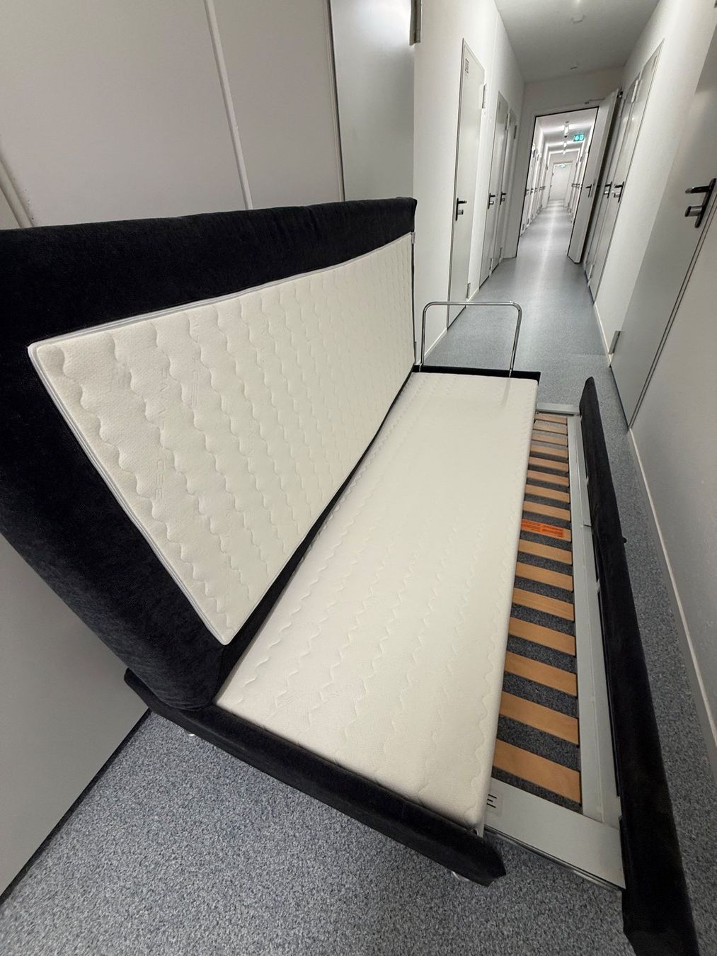 Letti: Swissplus, bed for living, Swiss plus, Bettsofa, Couch – Usato da Killwangen venduto da dzu_26w7 4