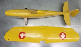 Motorflugzeug