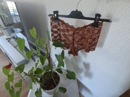 Schönes Panty Höschen gr L NEU