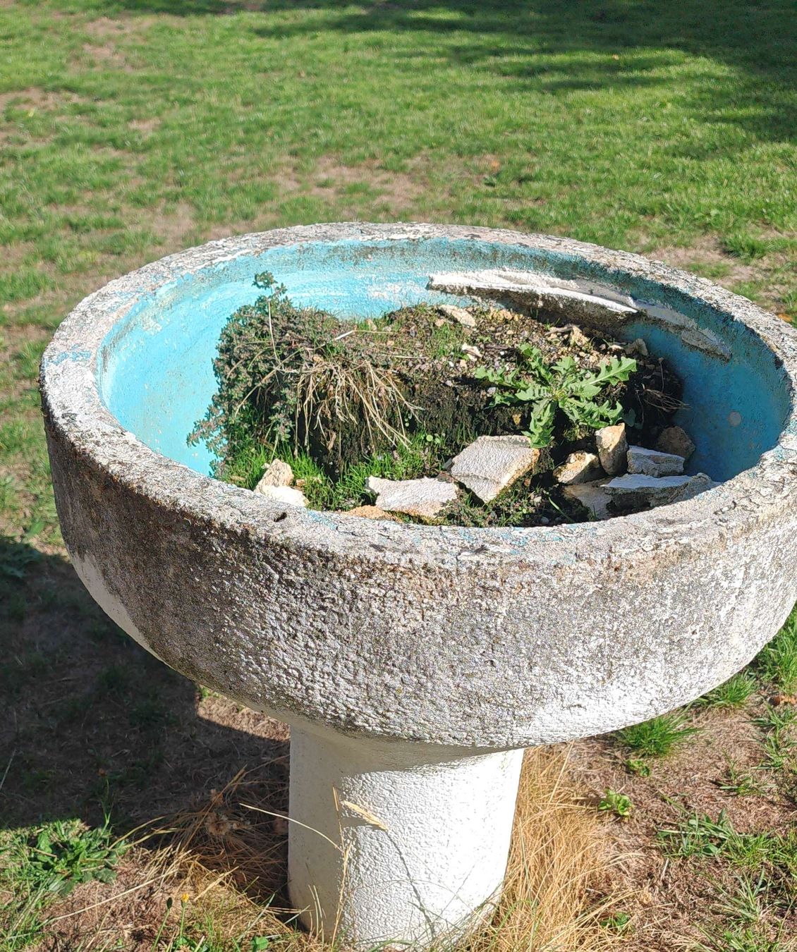 Behälter & Ähnliches: Beton Blumen Trog gebraucht – Gebraucht aus Menziken von Hangover95 1