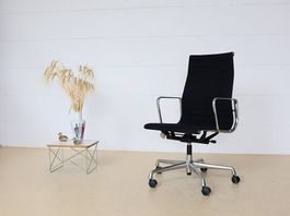 Vitra Eames Bürostühle EA 119