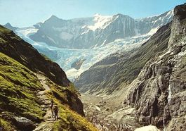 GRINDELWALD Am Wege Pfingstegg-Stieregg