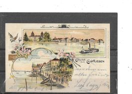 TG Gruss aus Gottlieben 1900 (Litho)