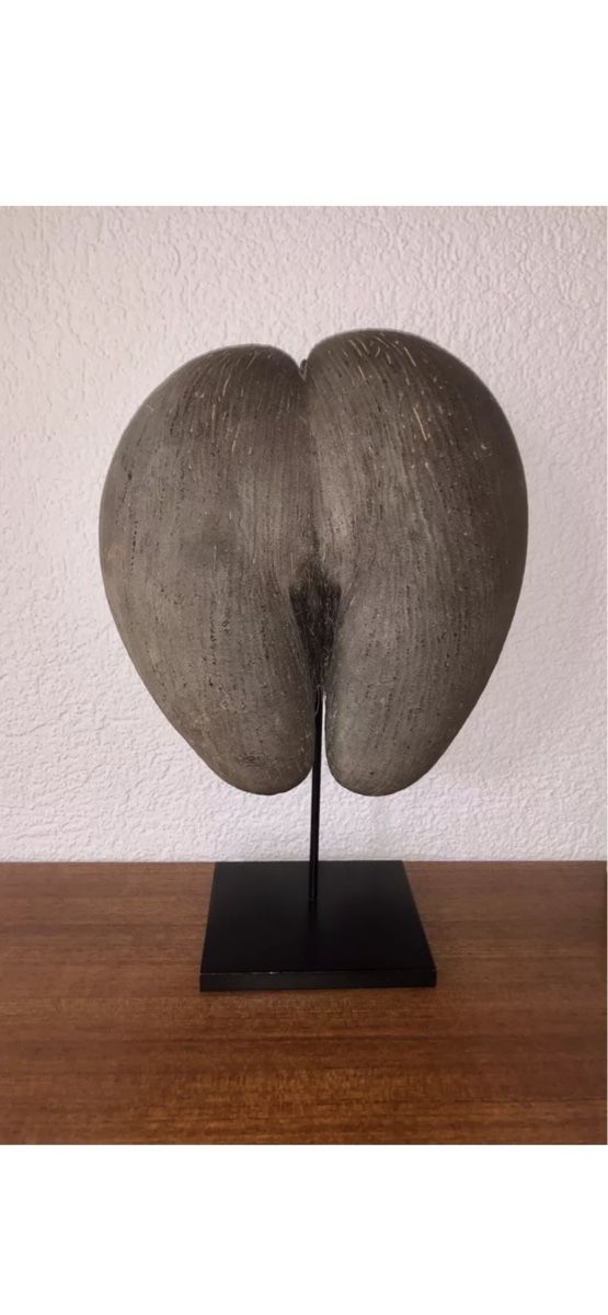 Toutes les décorations: Coco de mer , Seychellen – D'occasion à Monteggio par Corbendallas