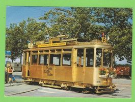 Der goldig Schüttelbächer VBZ