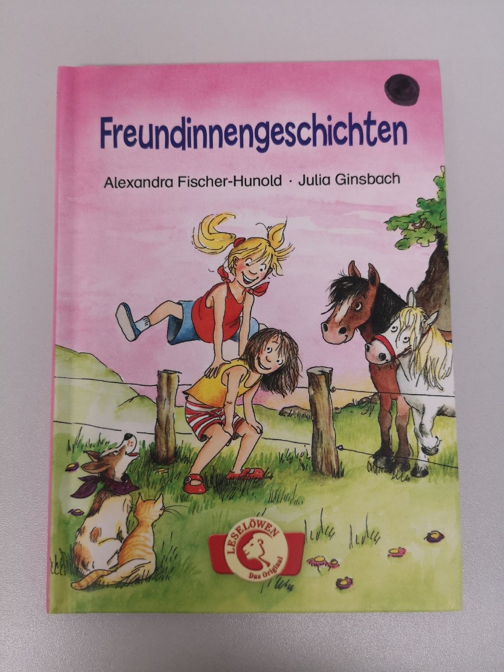Libri: Buch Freundinnengeschichten – Nuovo (secondo la descrizione) da Sissach venduto da cor_n2dt