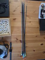 Lot de 10 flèches pour tir à l'arc état d'usage