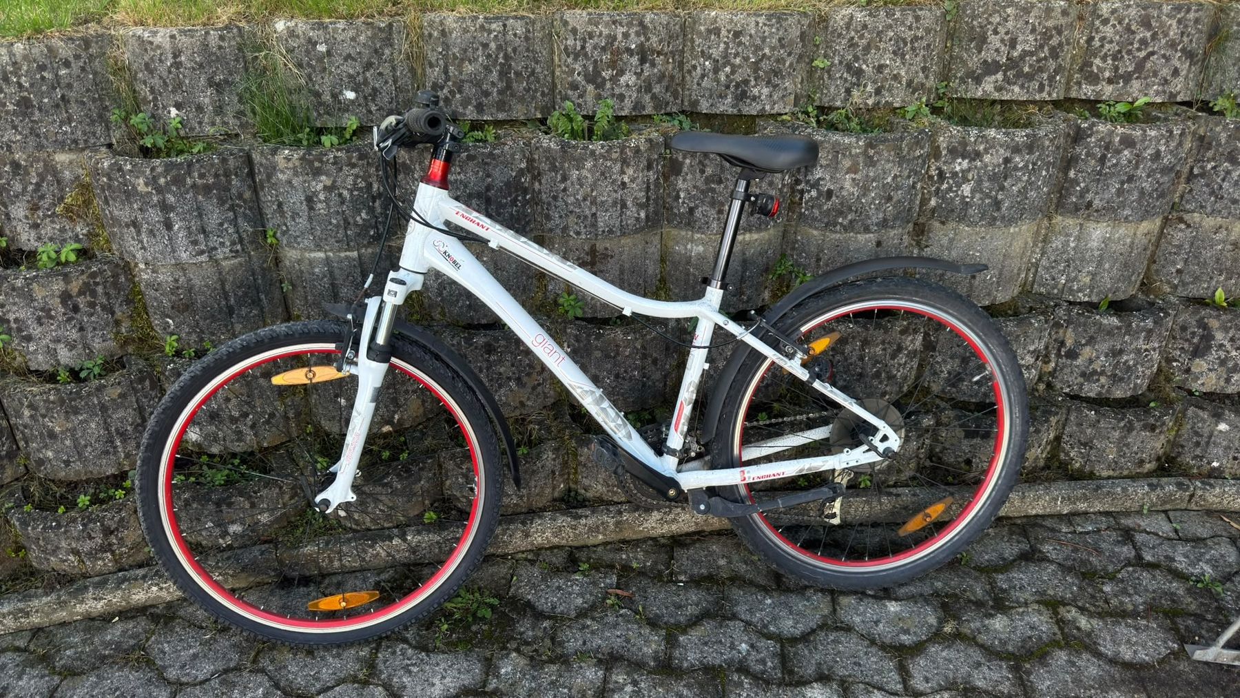 Vélos: Giant – Défectueux à Frauenfeld par Pukaloxxx 1