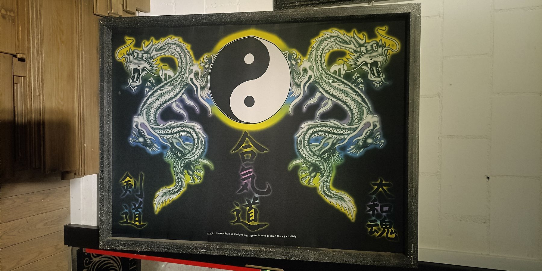 Foto & Immagini: Bilder, Drachen, Totenkopf – Usato da Guntershausen venduto da Jtattoo 1
