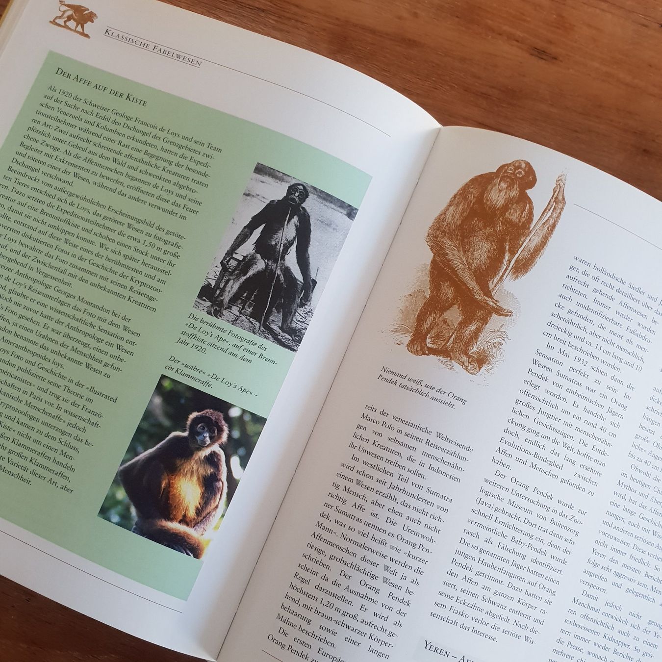 Bücher: 🐸 Von Drachen, Yetis und Vampiren – Gebraucht aus Môtier (Vully) von Frogs 4