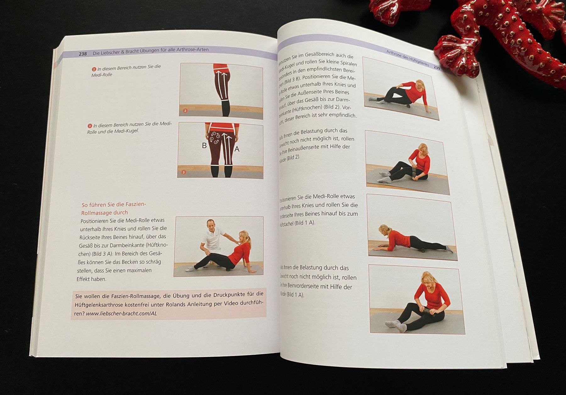 Libri: DIE ARTHROSE LÜGE – Usato da Nussbaumen AG venduto da schuba2000 5