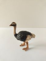 Schleich Strauss Wild Life Vogel Vogelstrauss Rarität