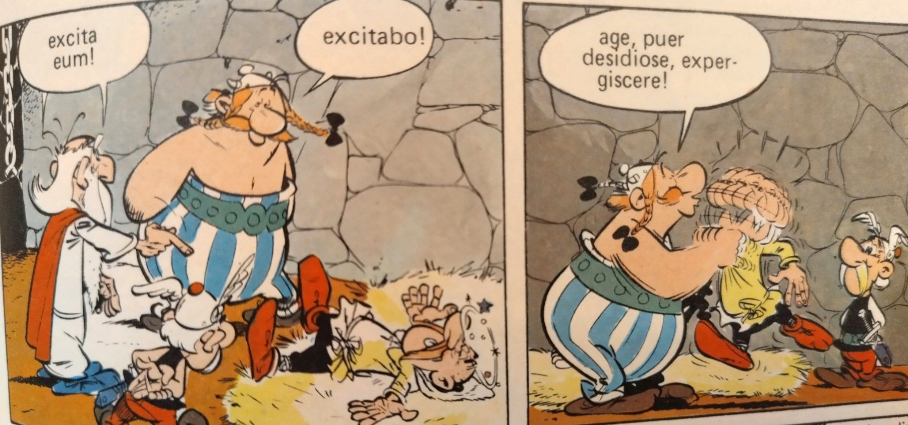 Comics: Asterix apud Gothos / Lateinisch / Hardcover ab Fr. 8.- – Gebraucht aus Bellach von JingleJerry 6