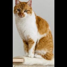 Profile image of Jessy1