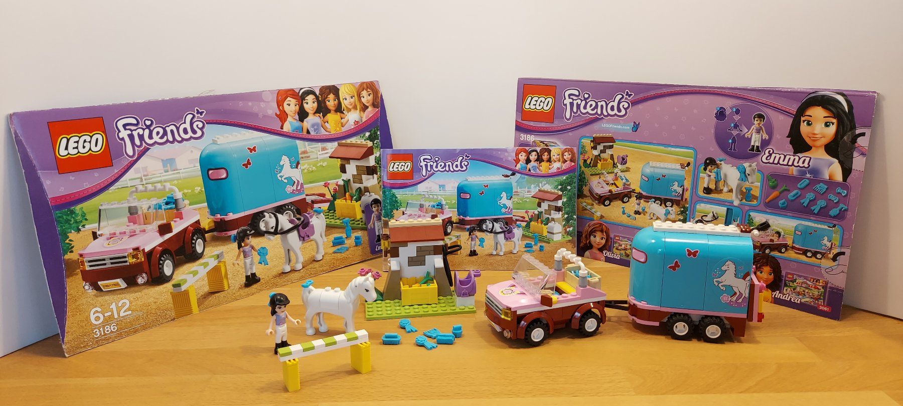 Lego Giocattoli: Lego Friends diverse Sets – Usato da Madetswil venduto da s_l_ss5b 4