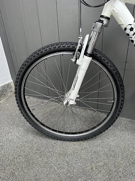Biciclette: Bicicletta MTB 26  – Usato da Quartino venduto da DiloUsato 7