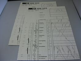SBB grafischer Fahrplan 305 (Teil 1+2)