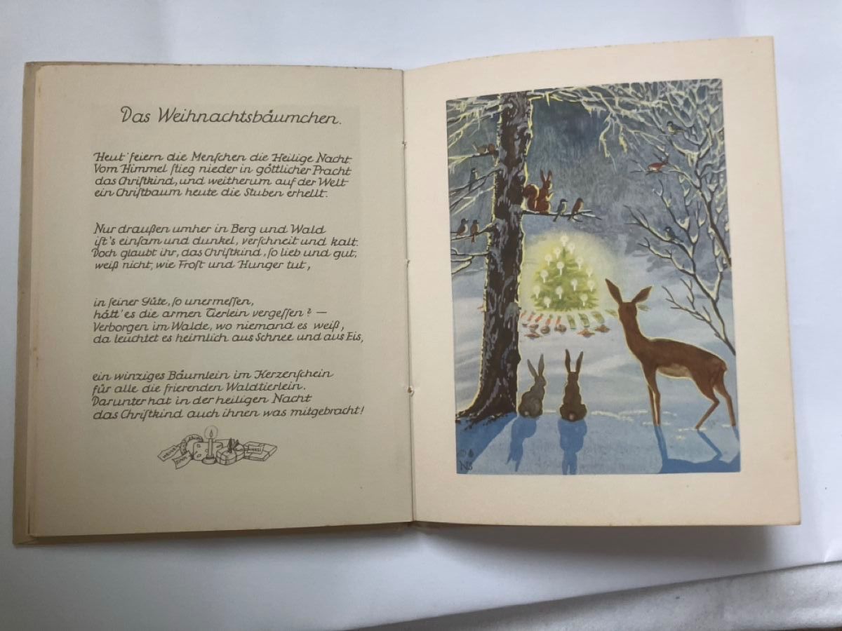 Libri: Schnee und Eis Nora Scholly – Usato da ZUERICH venduto da Carolus1 5