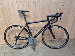 Massini Rennrad 56, gebraucht, schwarz