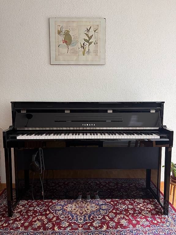 Yamaha Strumenti musicali: Yamaha NU1X PE – Usato da Luzern venduto da rah_r8zx 3