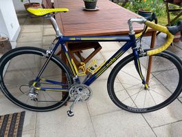 Campagnolo Record 9fach/Shamal Räder/Mata Rennrad