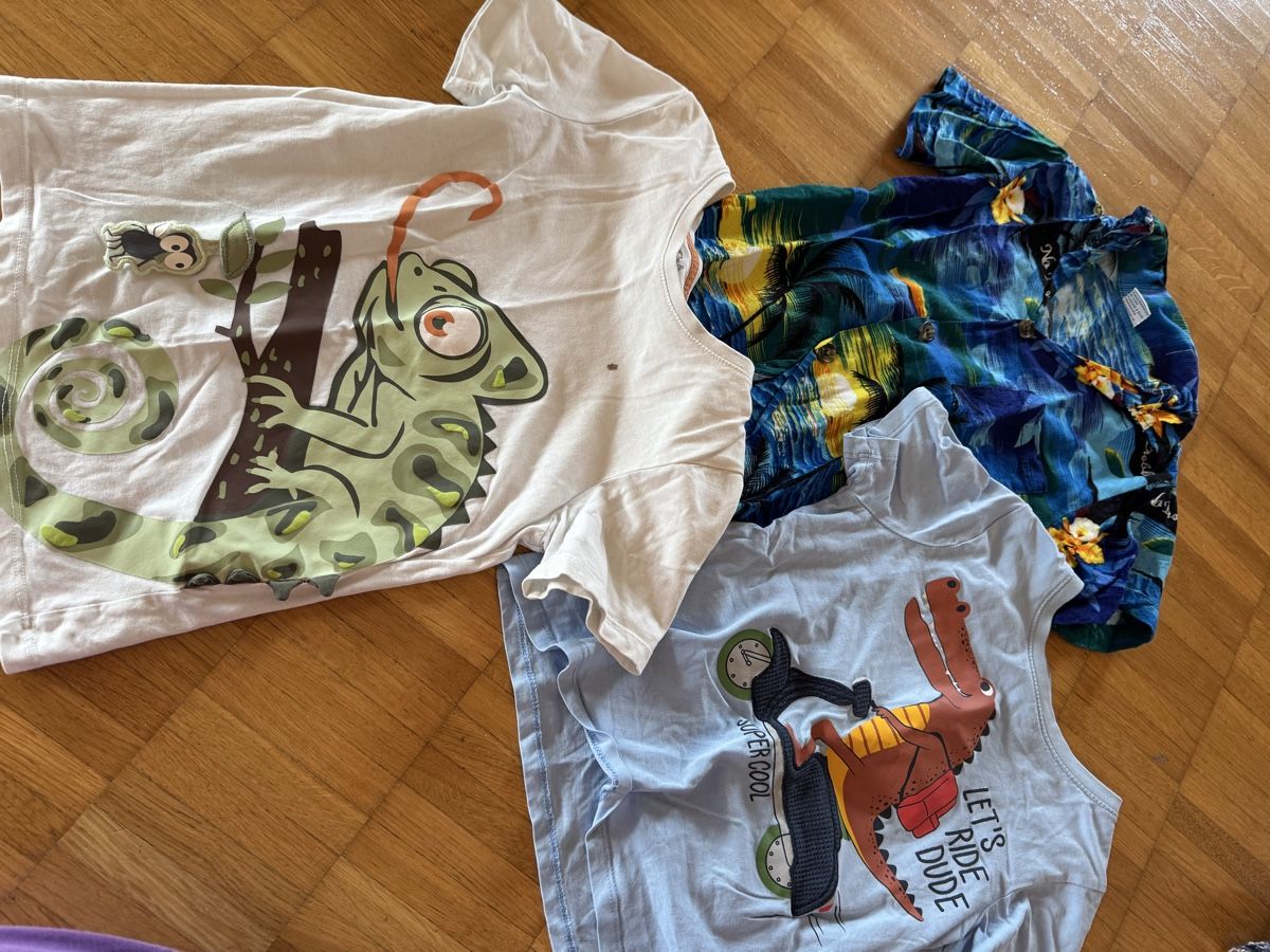 Camicie, T-shirt & Polo: T Shirts 100-116 – Usato da Stäfa venduto da Quality22 2