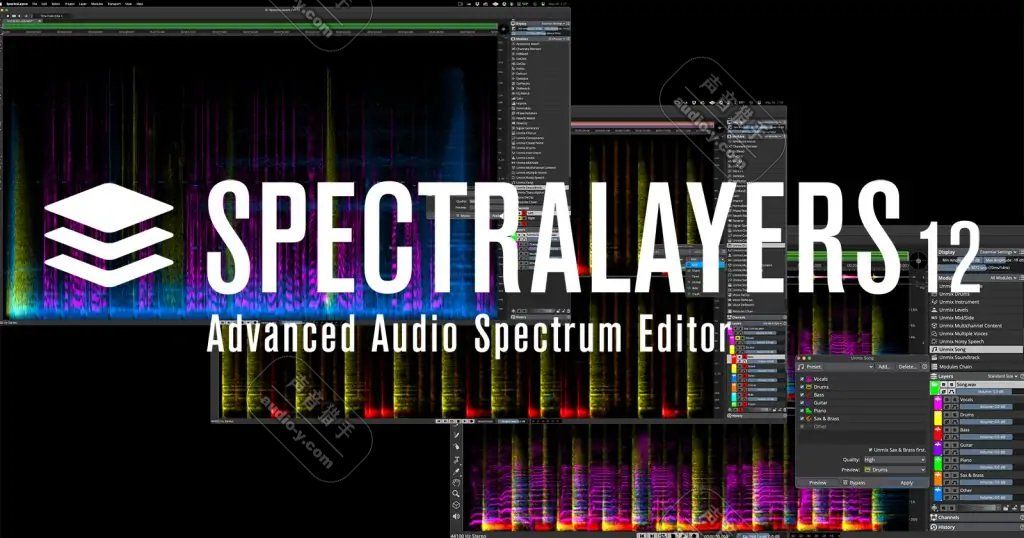 Software: Steinberg Spectralayers Pro 12 Lizenz – Nuovo (secondo la descrizione) da Recherswil venduto da a6247637