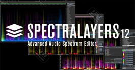 Steinberg Spectralayers Pro 12 Lizenz