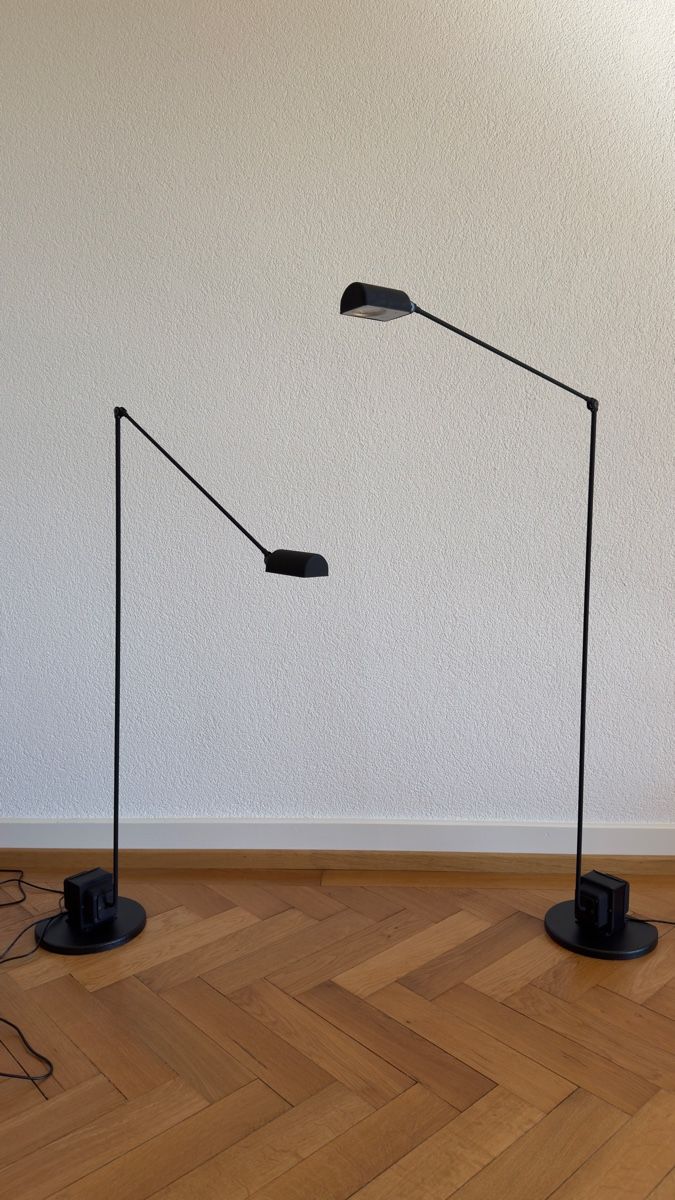 Lumina Lampade: Daphine Lumina Terra LED black soft – Nuovo (secondo la descrizione) da Lausanne venduto da dor_lnv8