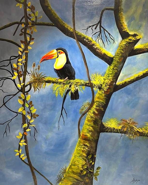Dipinti: Originalbild Tucan – Nuovo (secondo la descrizione) da Luzern venduto da Brokiland