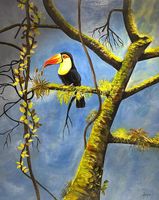 Originalbild Tucan